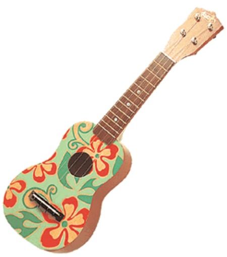 Hawaiian stringed instrument